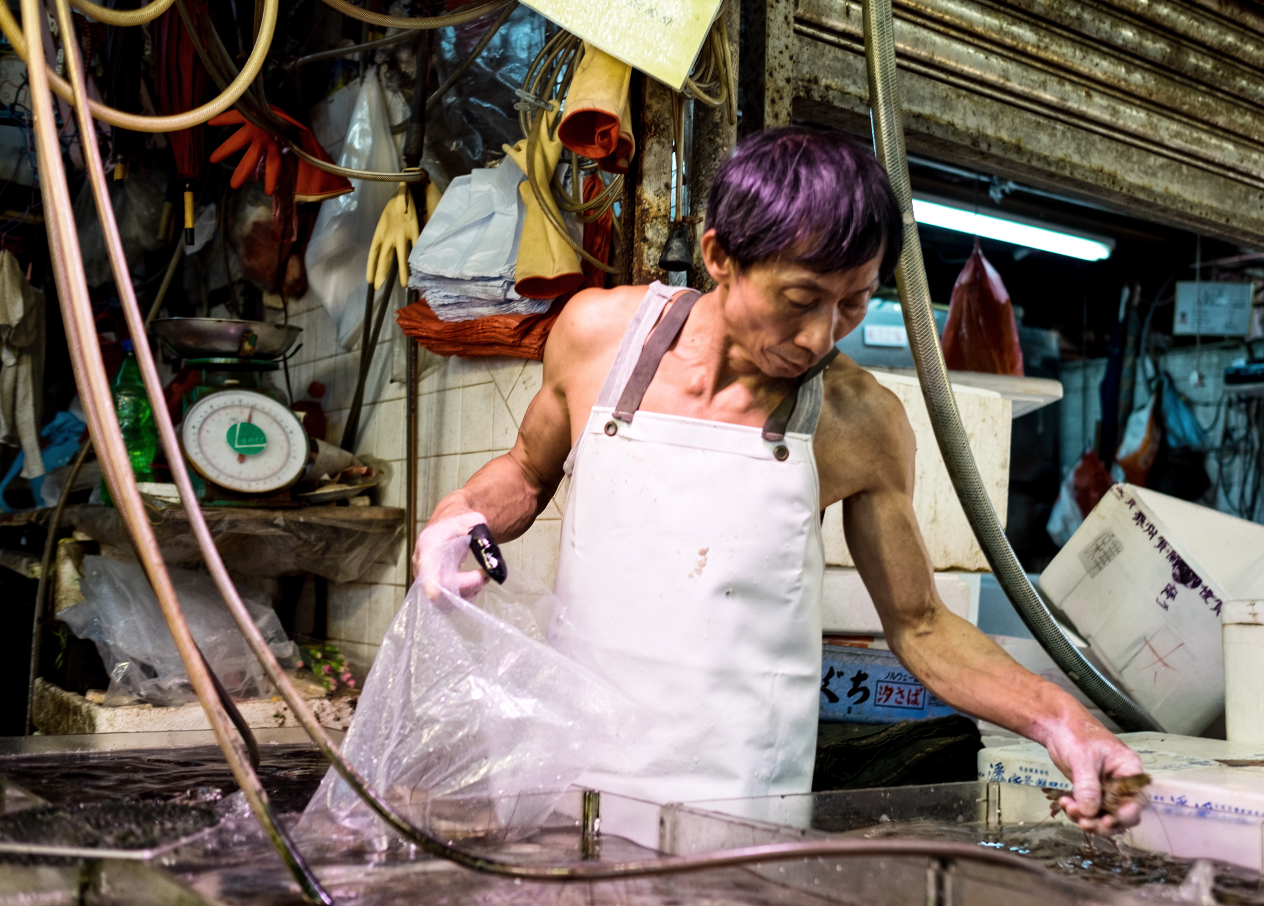 A fish vendor in a wet market, standing over water-filled tanks while holding a plastic bag and reaching into the basin.