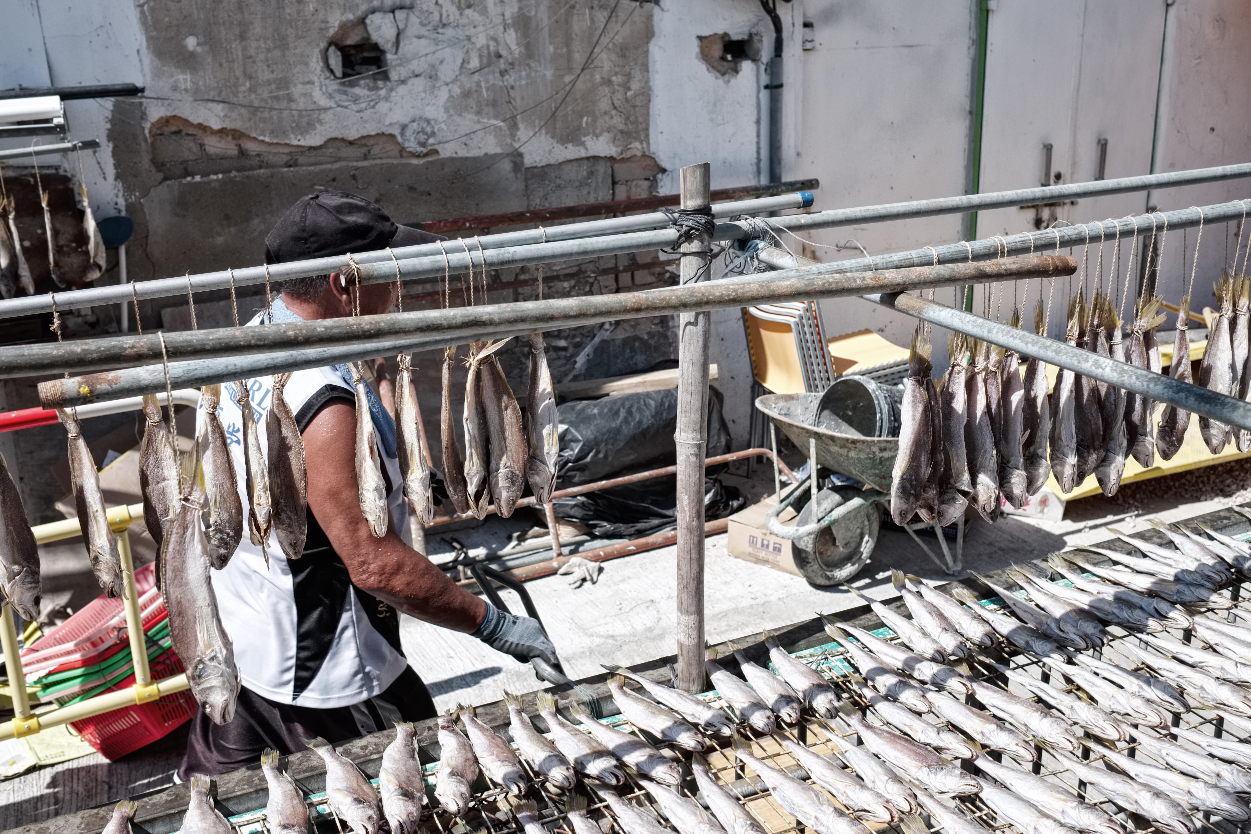 Fish hanging to dry on metal racks in an outdoor workspace