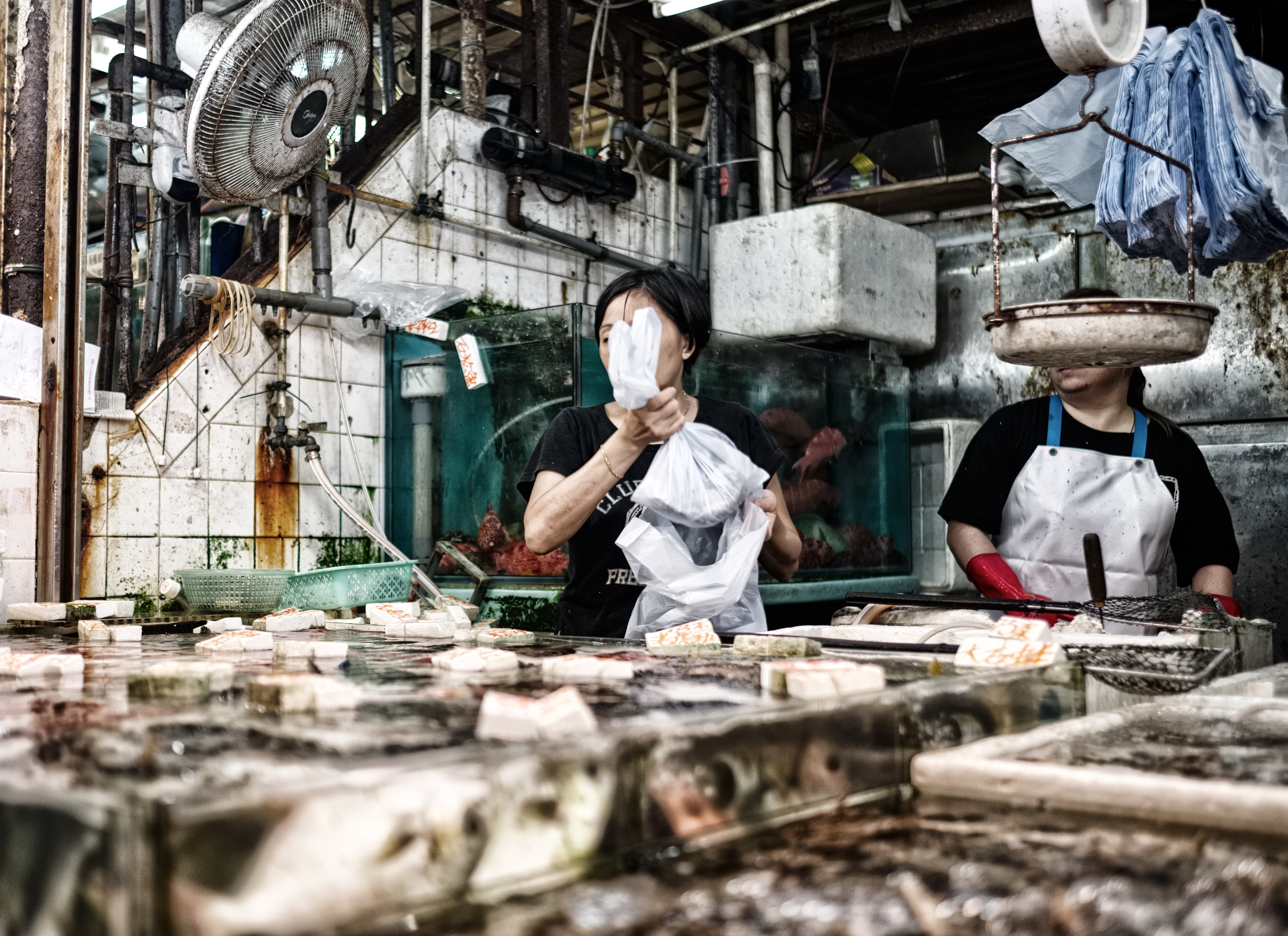 Two women working behind a wet market counter with seafood